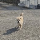 오동/남아/5개월 이미지