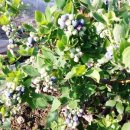 노을가득민박 이미지