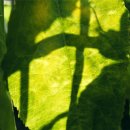 강릉약국 이미지