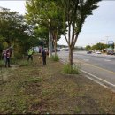 안중출장소 이미지