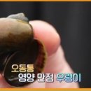 서탄회화농장 네이버블로그