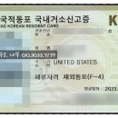 행정사사무소 나무 이미지