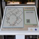 부여꽃 이미지