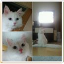 내양농장 이미지