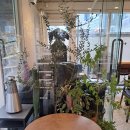선릉역 역삼동 카페: 스몰톡커피 로스팅카페
