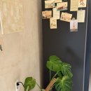 태평한 대평 이미지