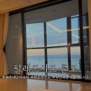 오션스타 휴양콘도미니엄 | 부산해운대 팔레드시드 콘도 ㅣ 디럭스 스위트 파샬오션 이용 후기｜10인 가능한 해운대 단체숙소