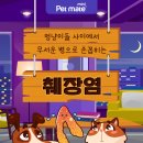 내품애동물병원 이미지