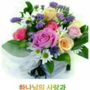 복이카페 이미지