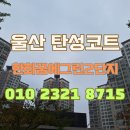 은하수 수목원 아파트 부1 | 울산 탄성코트 한화꿈에그린2단지 곰팡이 제거 후 도니코 페인트 시공 후기