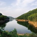 금사리 노인회관 | 여주의 금빛 유산, 금사면(金沙面) [2020년_7월호]