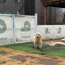 김밥천국 일동점 이미지