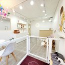 베스애견 이미지