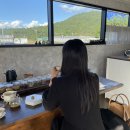 힐링 홍차 티클래스 | 제주도 이색체험 사오월티카페 티블렌딩 / 힐링되는 티클래스 후기