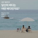 강릉 가볼만한곳 :: 당신의 바다는 어떤 바다인가요? 이미지