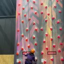 노라보까 이미지