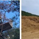 소나무병원 이미지