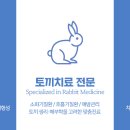 온누리 종합 동물병원 이미지