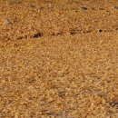 샘마을2길 34 | 2025년 주간일기ㅣ개억까당한 일주일 (11/17~11/23)