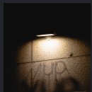 바이비 파스타 이미지