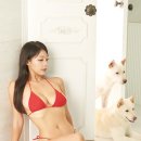 조이웰니스 이미지