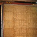 코이어(coir)