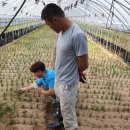 달님농장 이미지