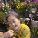 당진워터프리아 이미지