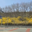 19홀 골프존스크린 이미지