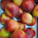 원희농장 이미지