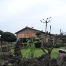 테마민박 이미지