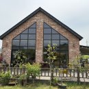 카페봄 | 경주 목향장미 만개 봄갤러리카페 후기｜포토존·주차 정보 총정리