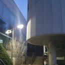 청사초롱 유아숲체험원 이미지