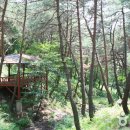 남원자연휴양림 이미지