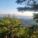 숙취 산행 이미지