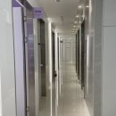 세스티끄 - 강남구 학동로 209 | 세스티끄