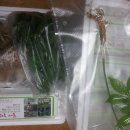 개척농장 이미지