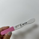 둘째 자연 임신 | 어서와 깜딱아..(feat. 깜딱이 출생 기록)