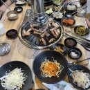 도도한돼지 이미지