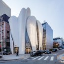 강남-131 이미지