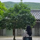 모던바이제이(모던 by J) | 마르헨제이 포터백 수납력최고! 데일리 출근/캠퍼스룩 가방 내돈내산 착용 후기