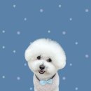 하얀이언니네 이미지