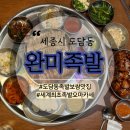 세븐일레븐 세종도담모아점 | 쫄깃한 족발보쌈맛집, 족발오마카세, 세종시 맛있는 불족발 막국수맛집, 세종시족발, 완미족발 세종도담점