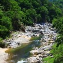 소나무 팬션민박 이미지