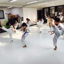 석사 경희대 승리 태권도장 이미지