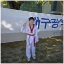 전인태권도교육관 이미지