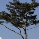 우현동물병원 이미지