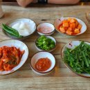 평택 포승 순대국 맛집 본가참순대