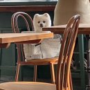 공작럭키아파트 502동 앞 | 백신광공의 코로나 19백신 동절기 추가접종 맞고 돌아다닌 후기훅이