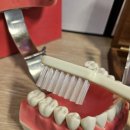 자연이바른치과의원 이미지